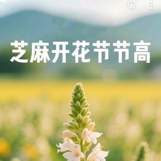 幸运相随