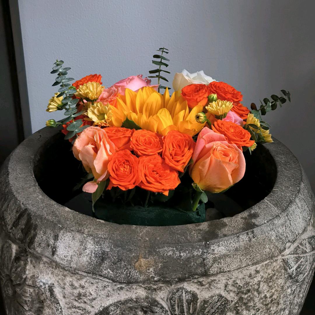 绘美好