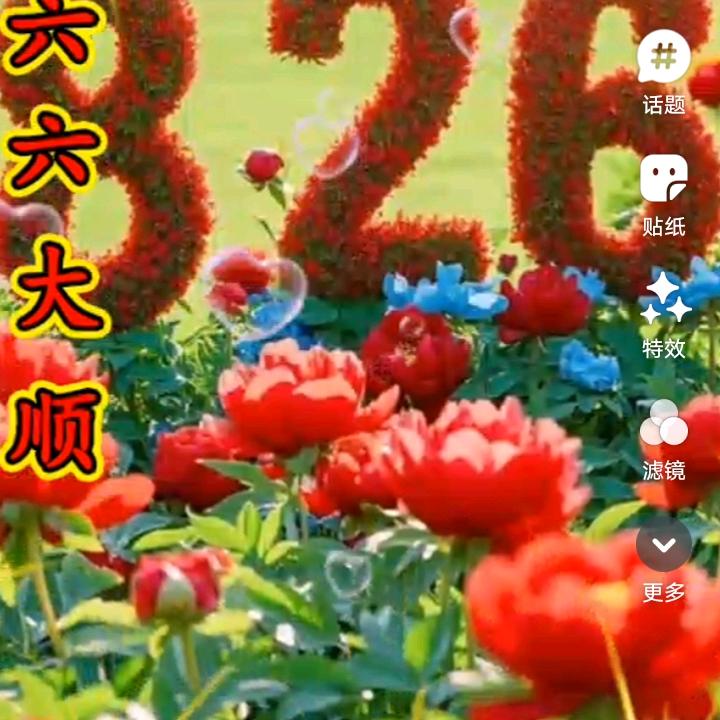 阿❤️洪❤️哥