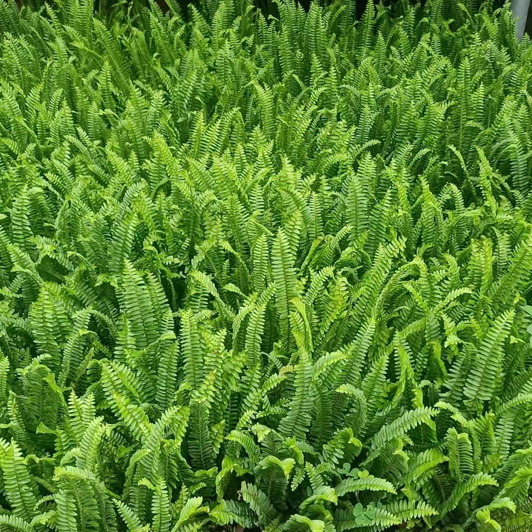 你是谁