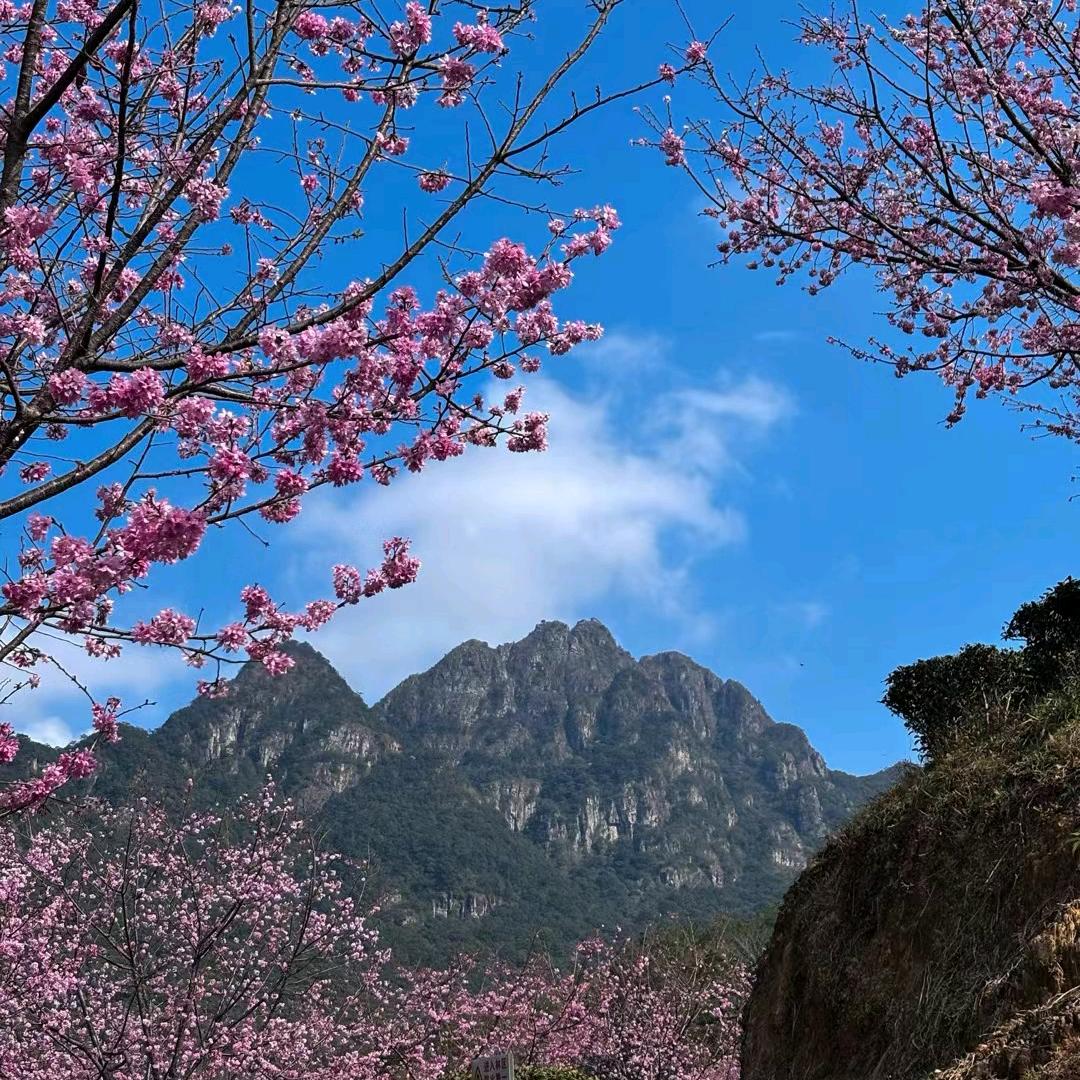 钟毓麻麻
