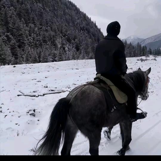 那年冬天风在吹