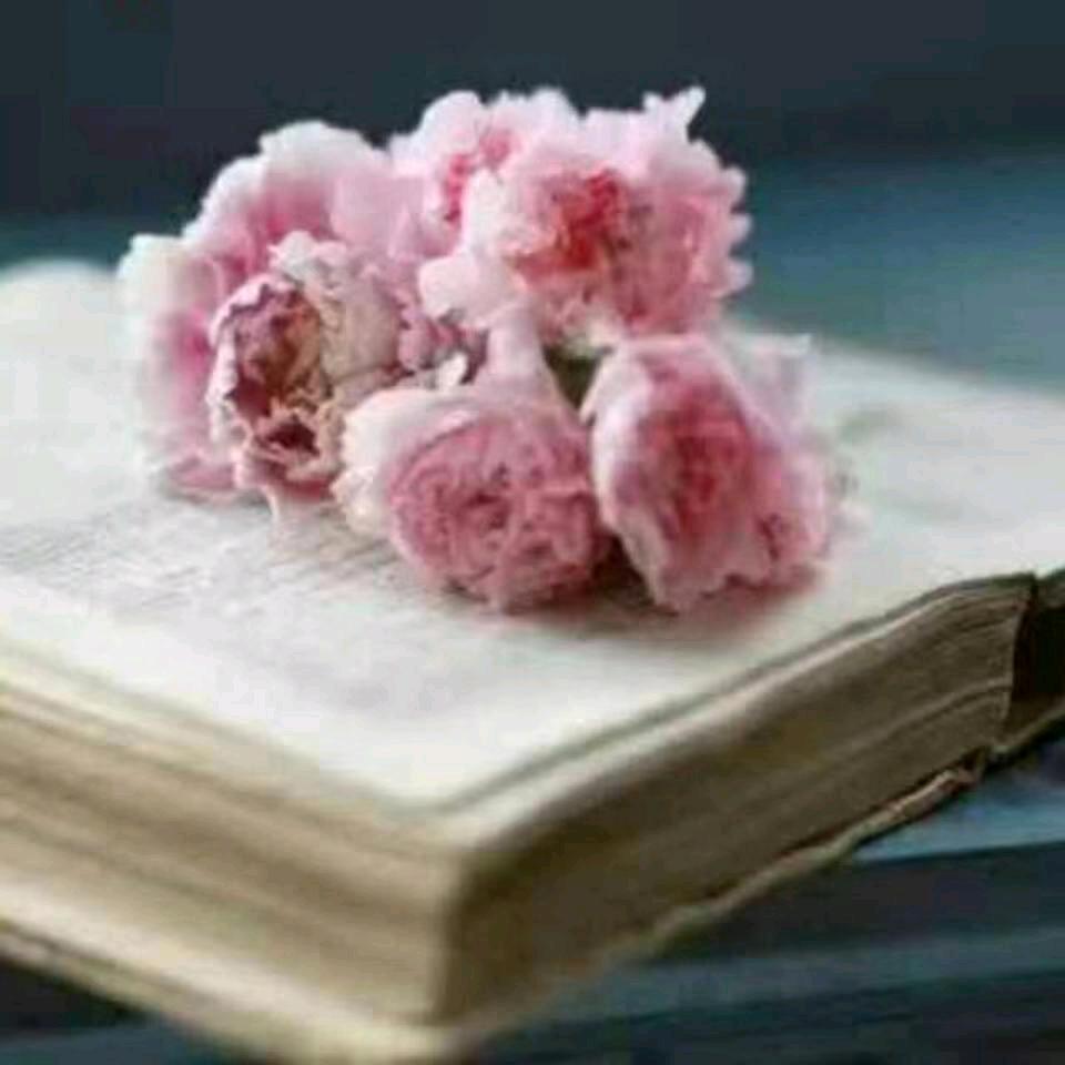 静默如初（不要连赞哟）