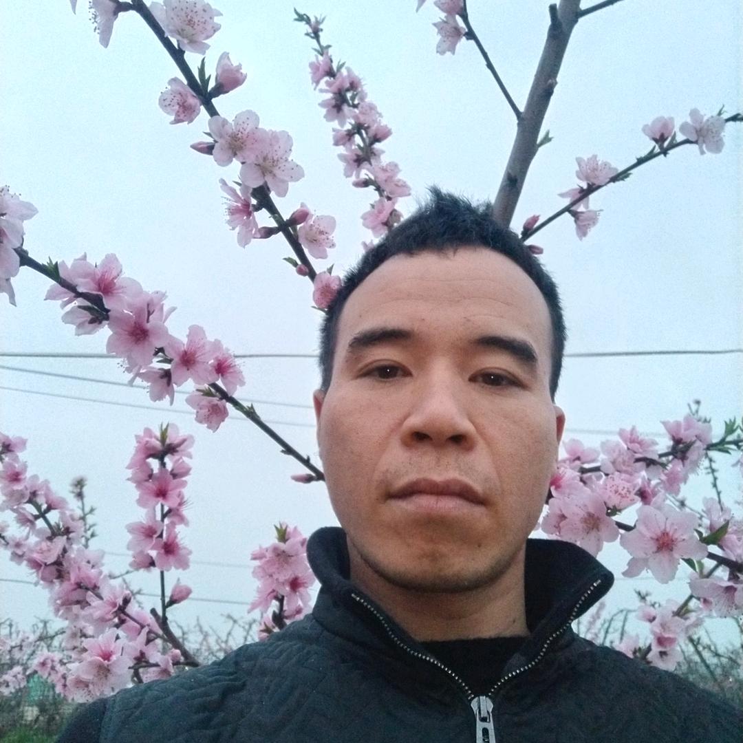 冬歌