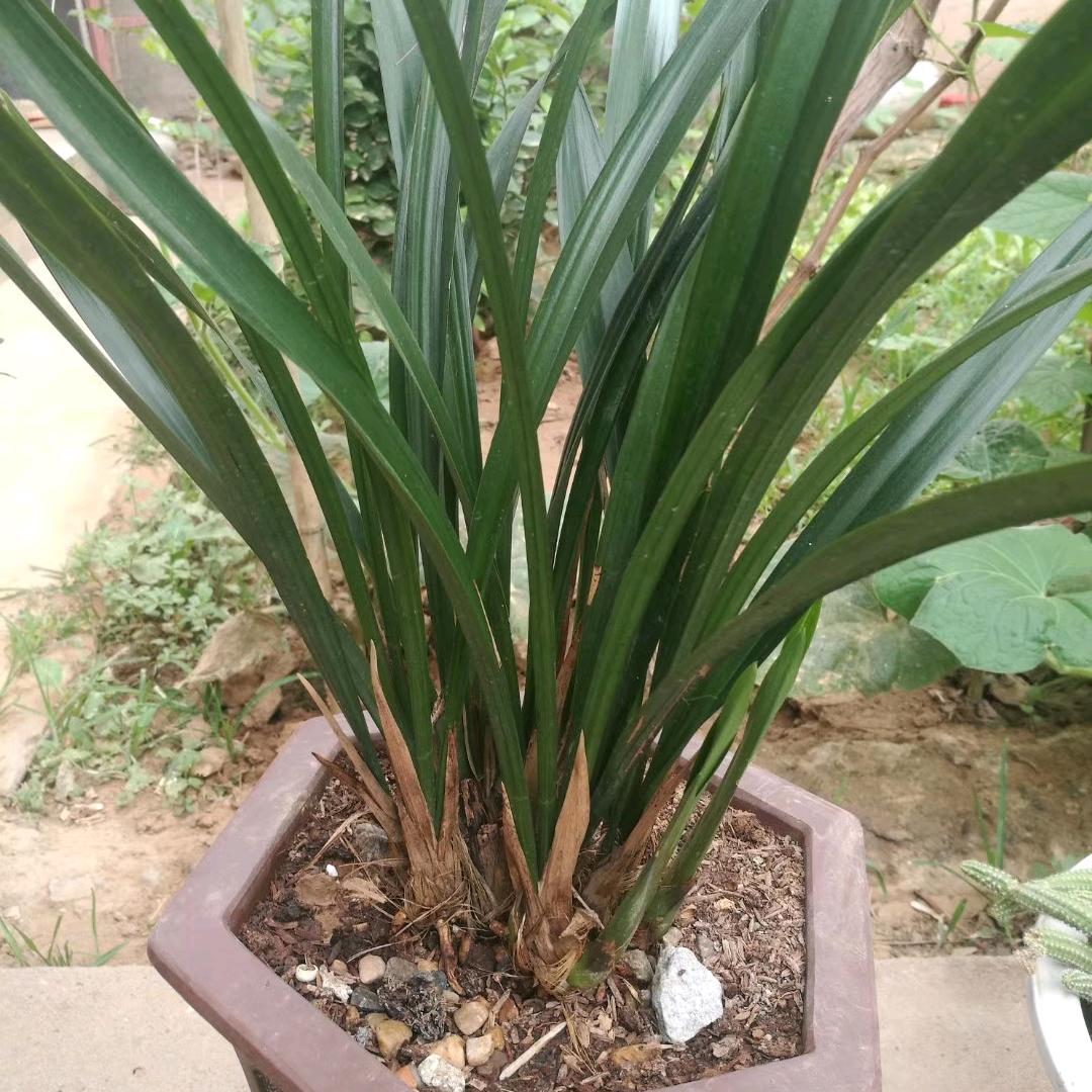 ❤️康乐怡年❤️