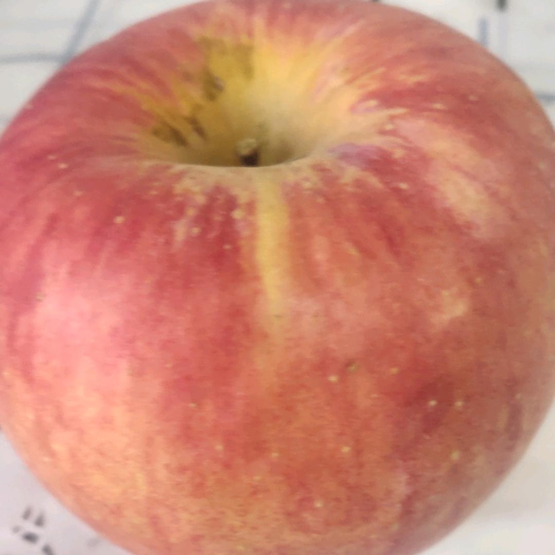 柿柿如意（睿）