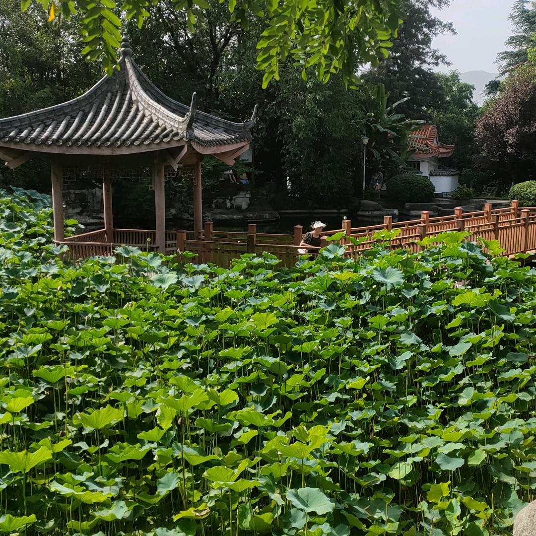 雄鹰，王天雄