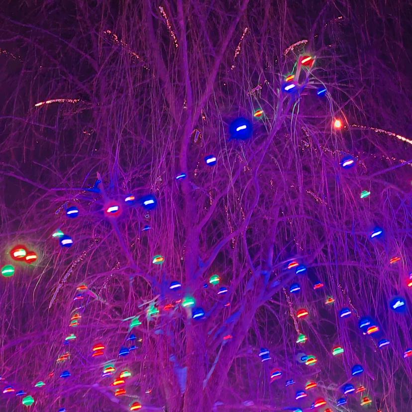 ～……………人生体验