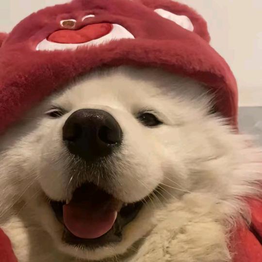 13.8万人