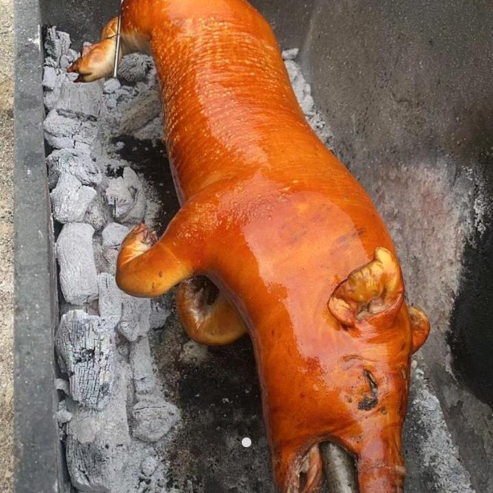 进哥烤猪