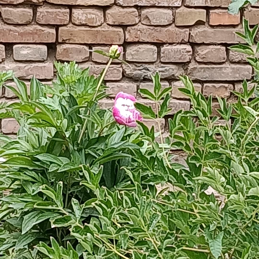 改变自己才幸福