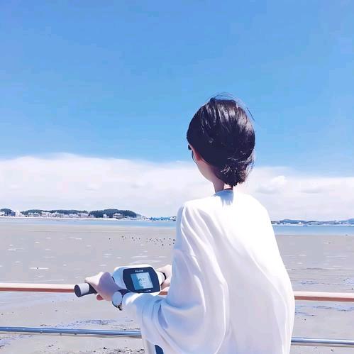 城城橱窗好物