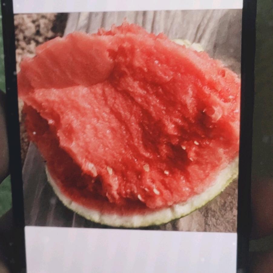 小李代收代发农产品