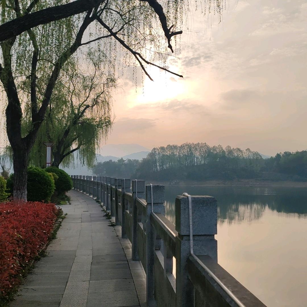 文旅衬衣哥