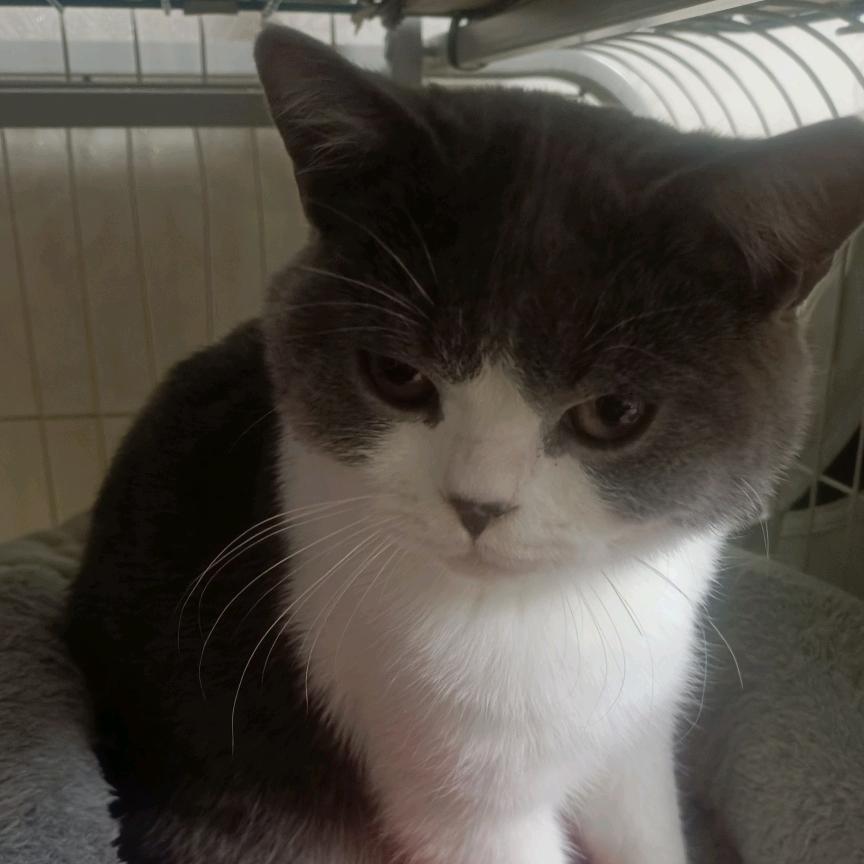 吃点烧烤《石棉》