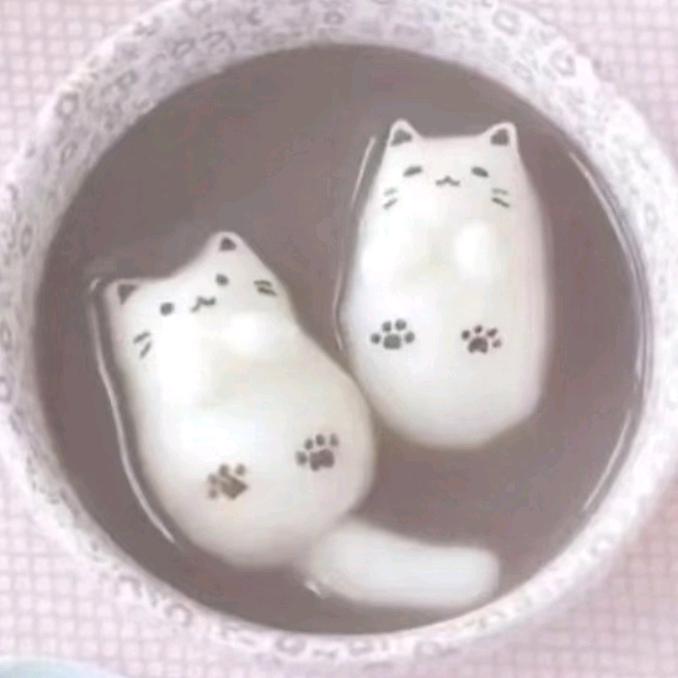 没有信号.
