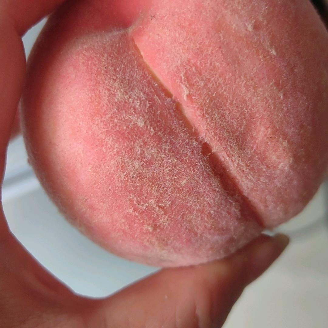 单亲妈🌹🌹🌹🌹