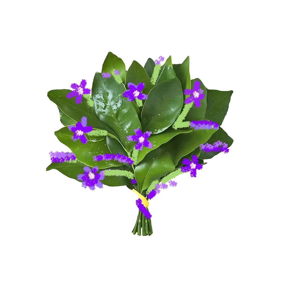 上网冲浪许可证(猫猫教教徒