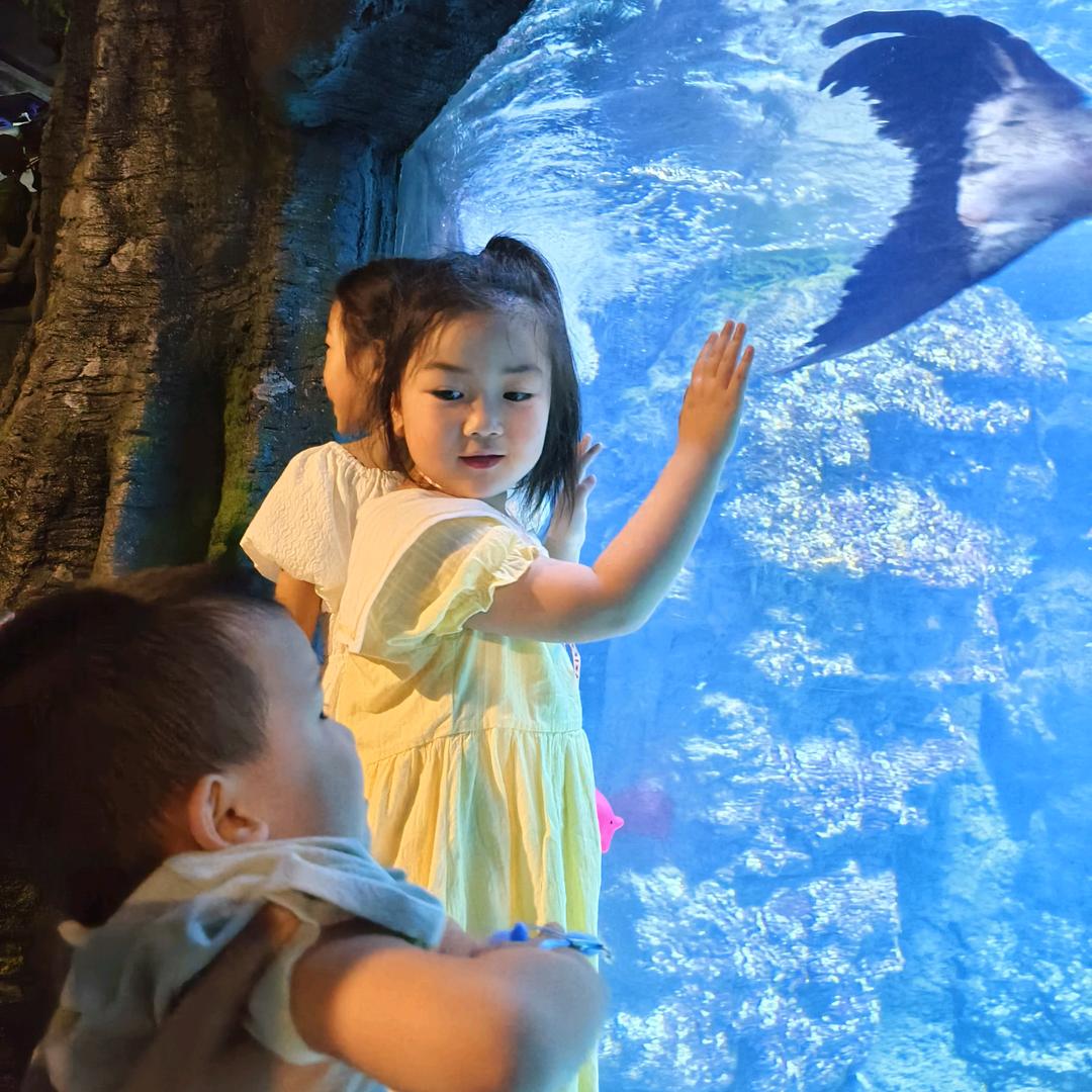 开心的面对一切