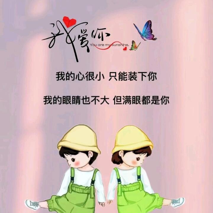 🌹愿君无悔🌹