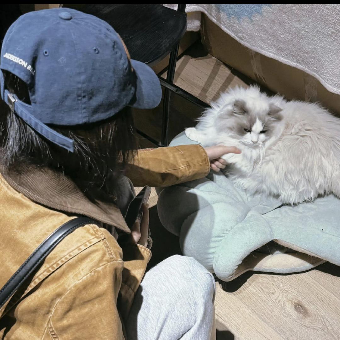 Pꪱāꪭ àꪱ ⁵²⁰ .