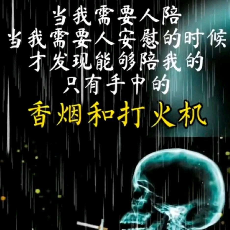 过客好物分享