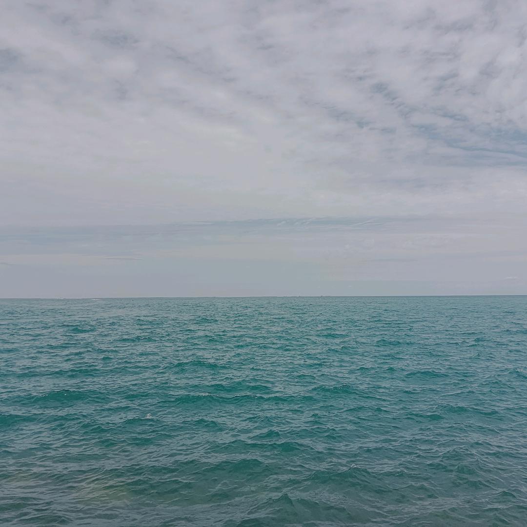 海水很蓝