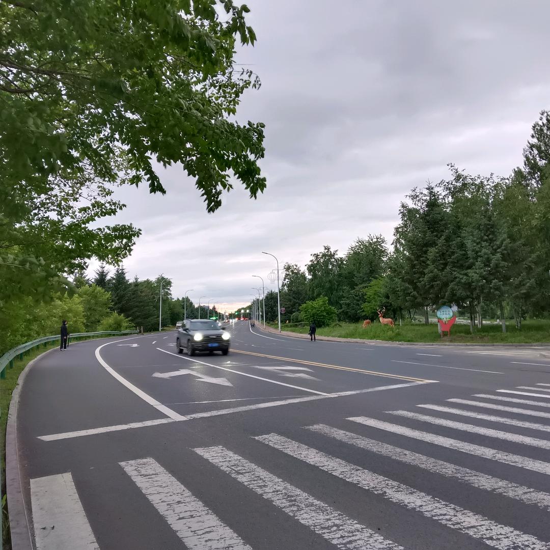 千般飞鹤若幻梦