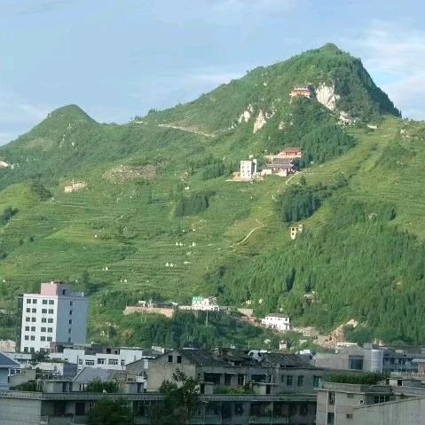小朱
