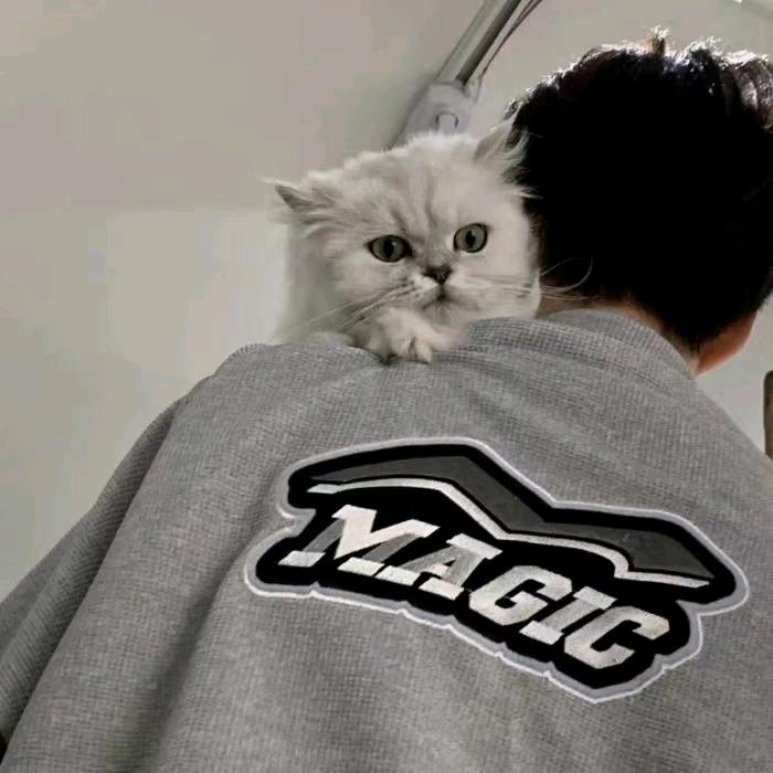 回眸一笑猪在叫