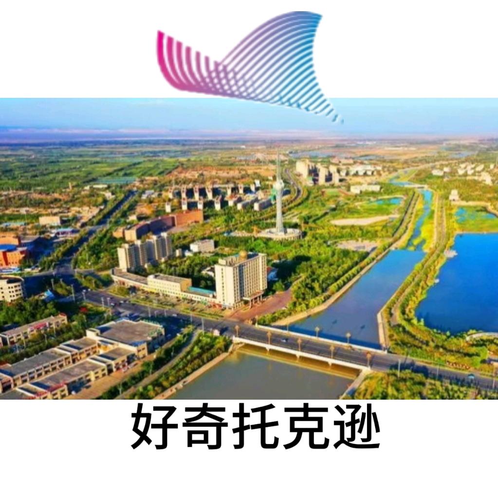 好奇托克逊