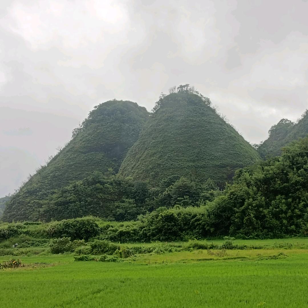 巡山小徒