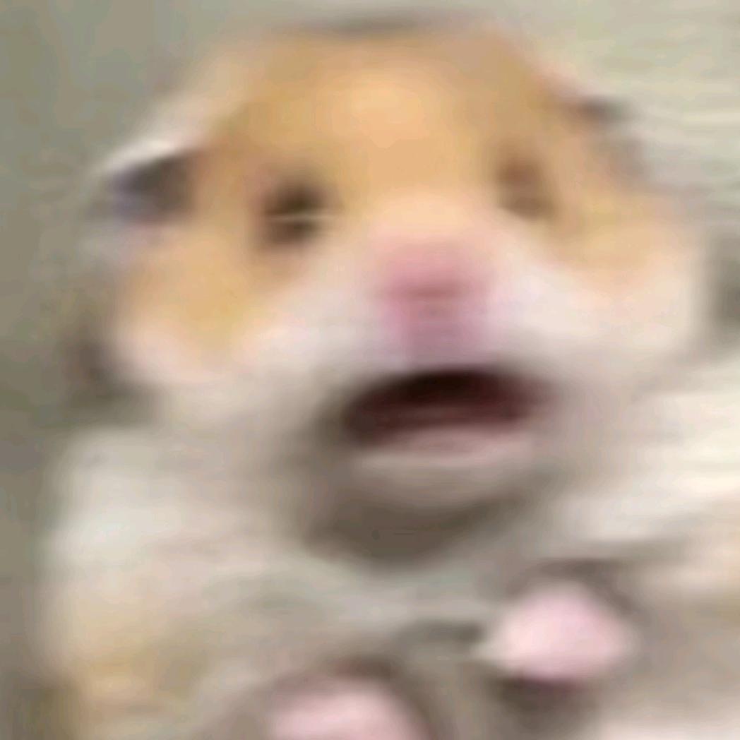 蛙蛙-