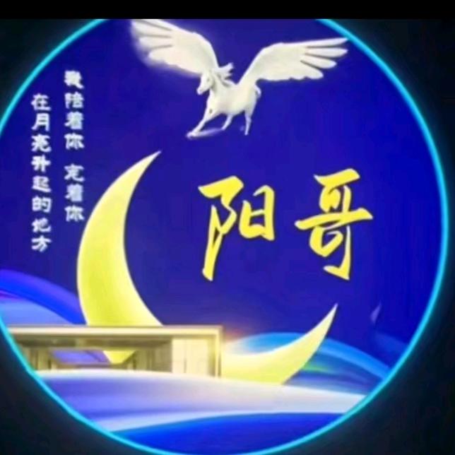 阳哥