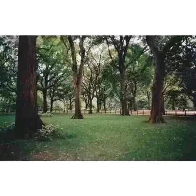 不忘初心