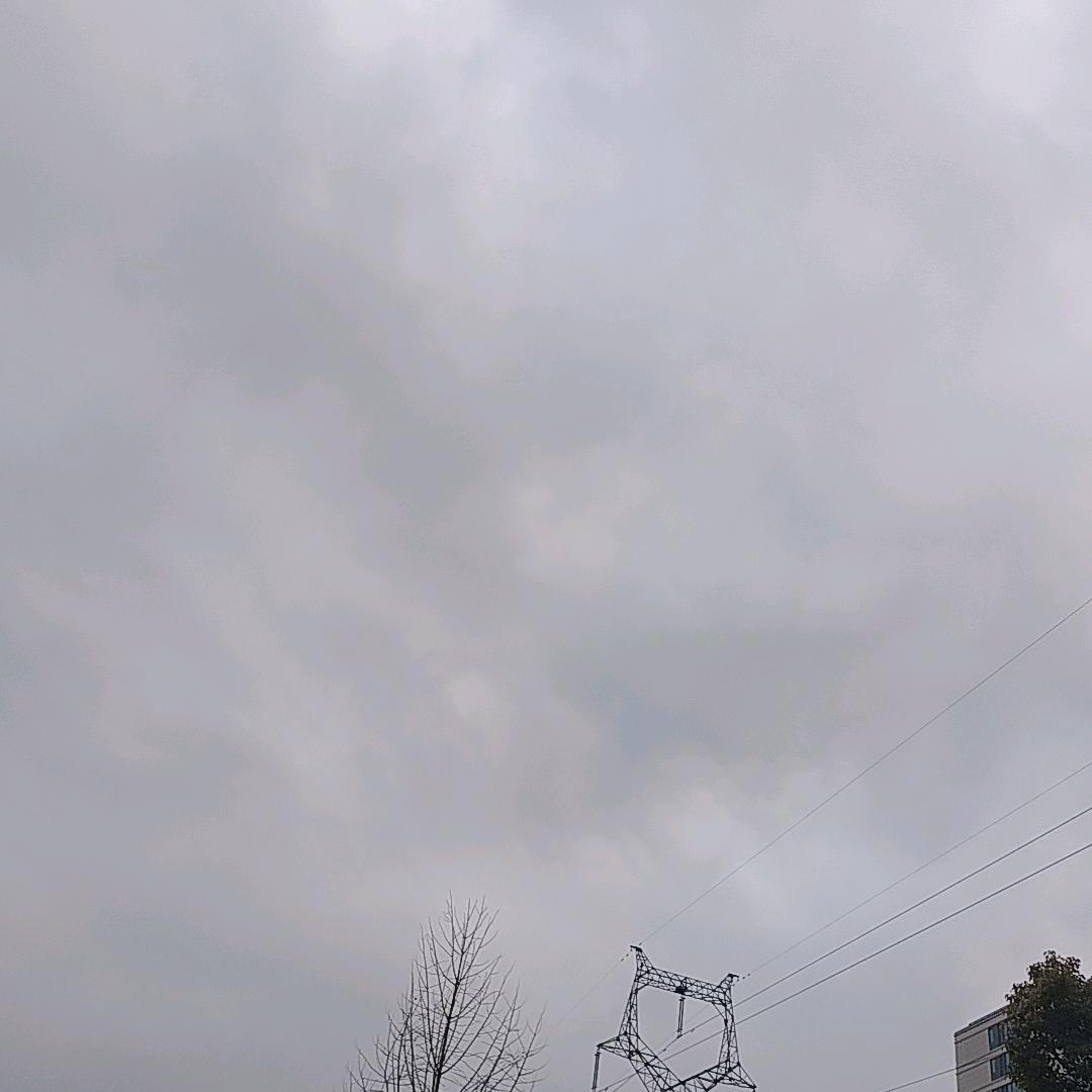 叶诗雨
