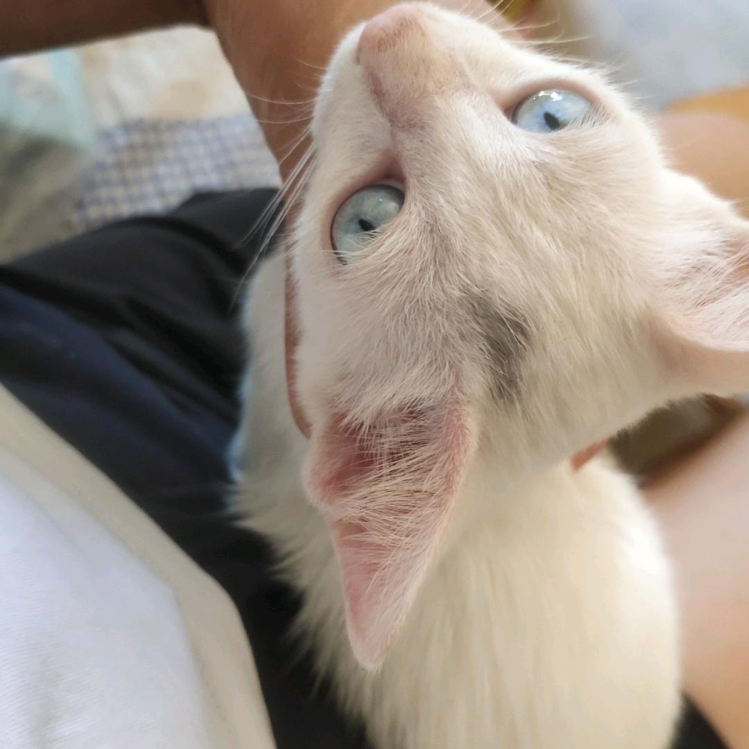 🌵回忆总是美好的💐