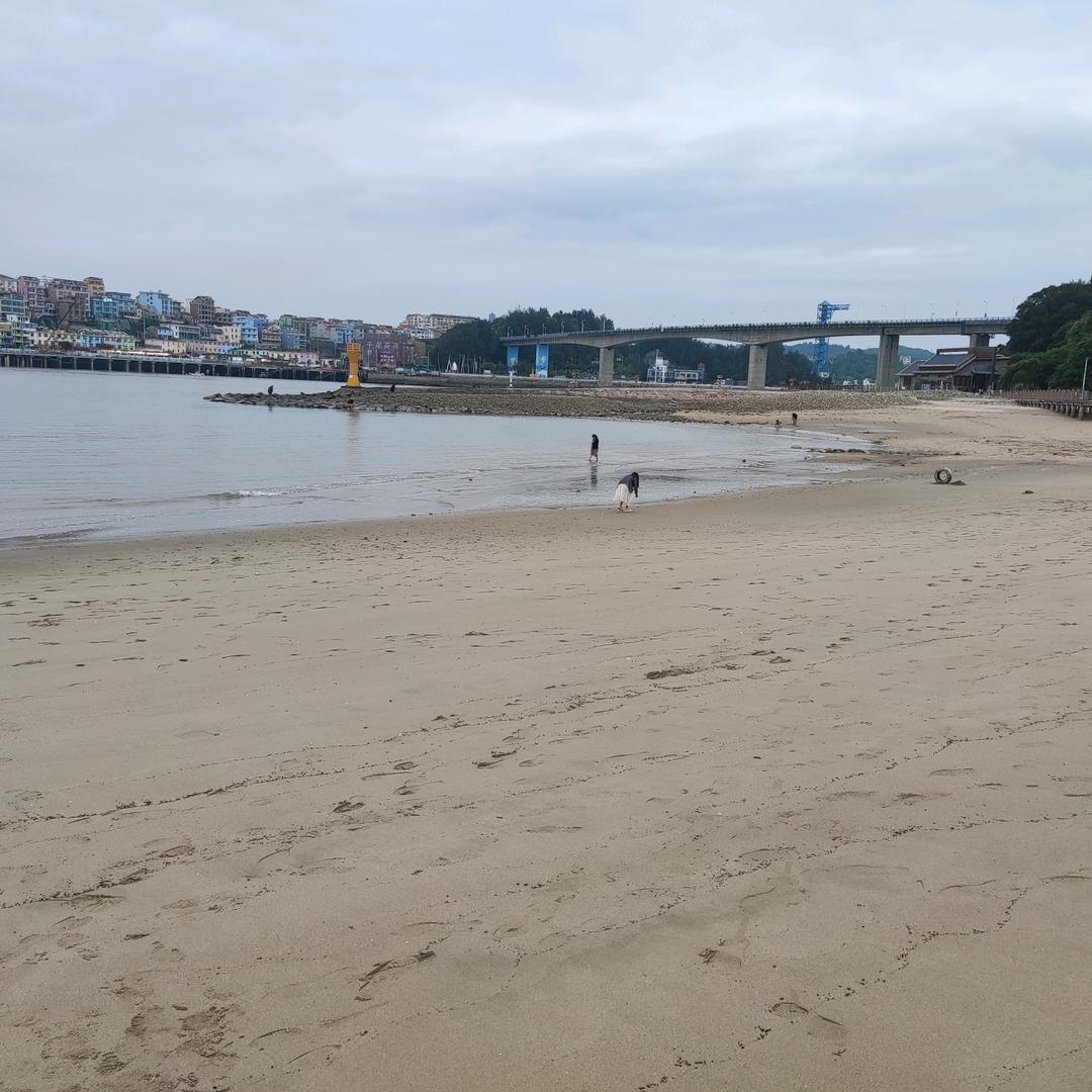 沉默