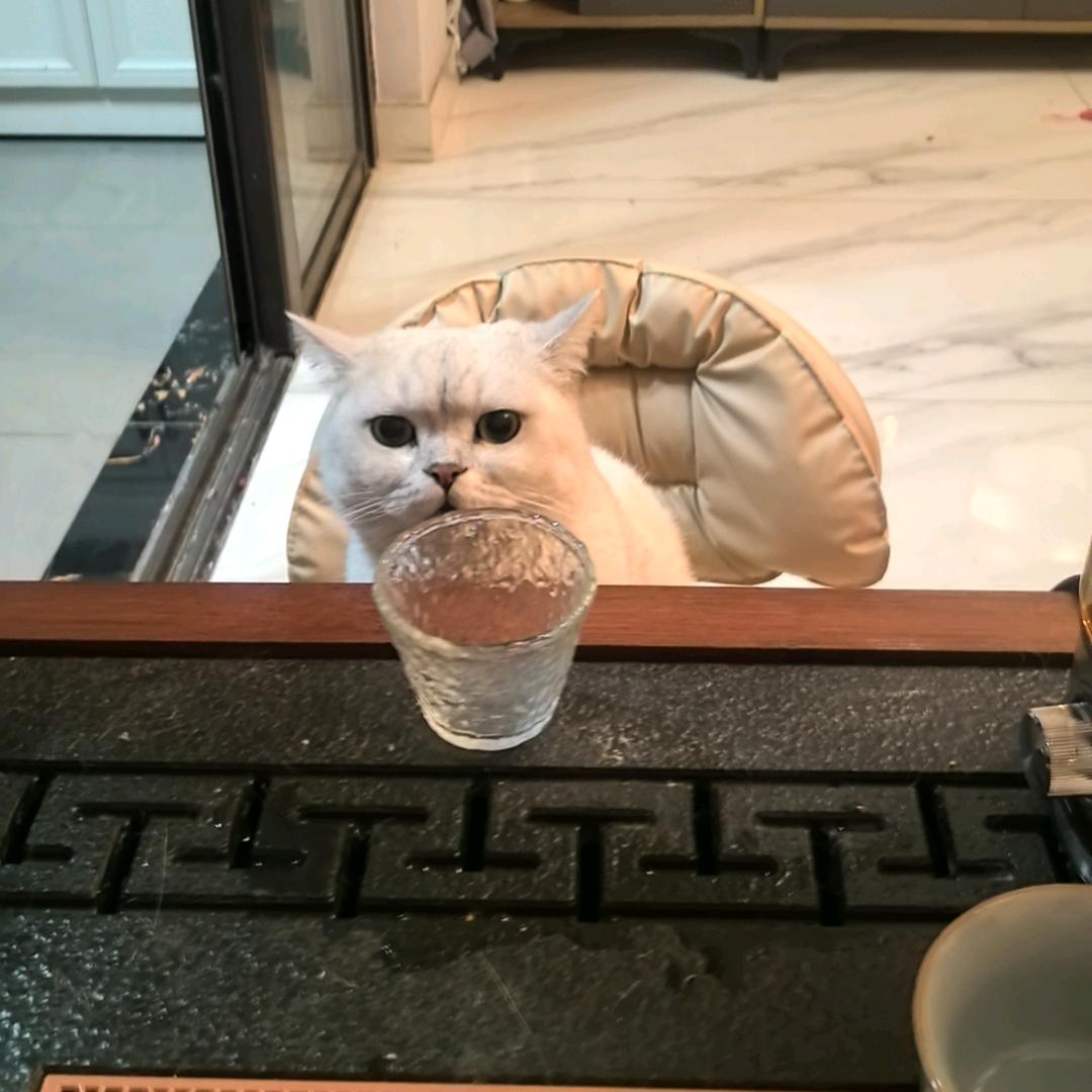 沐冧Sebastian