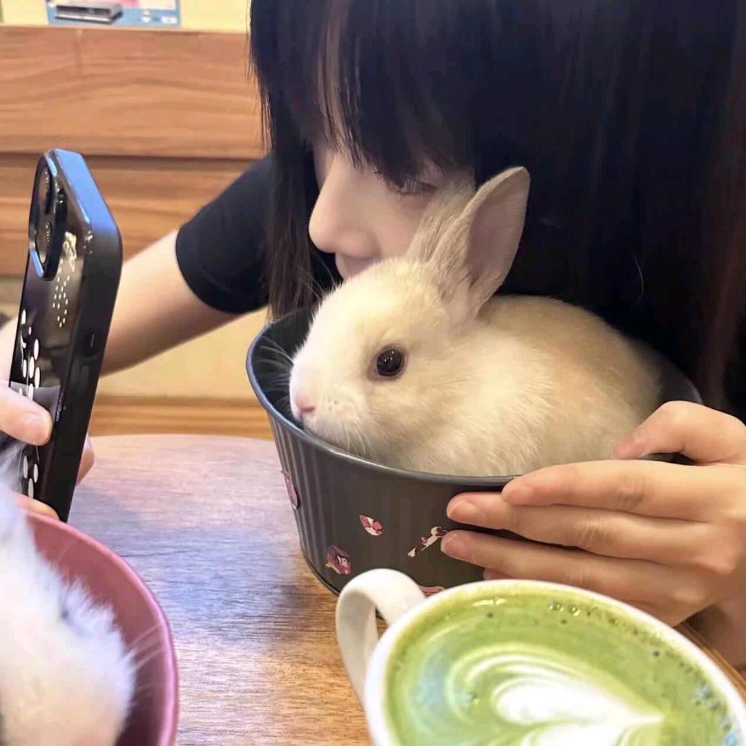 半截的诗．