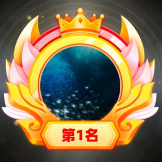 网鱼哥🐬