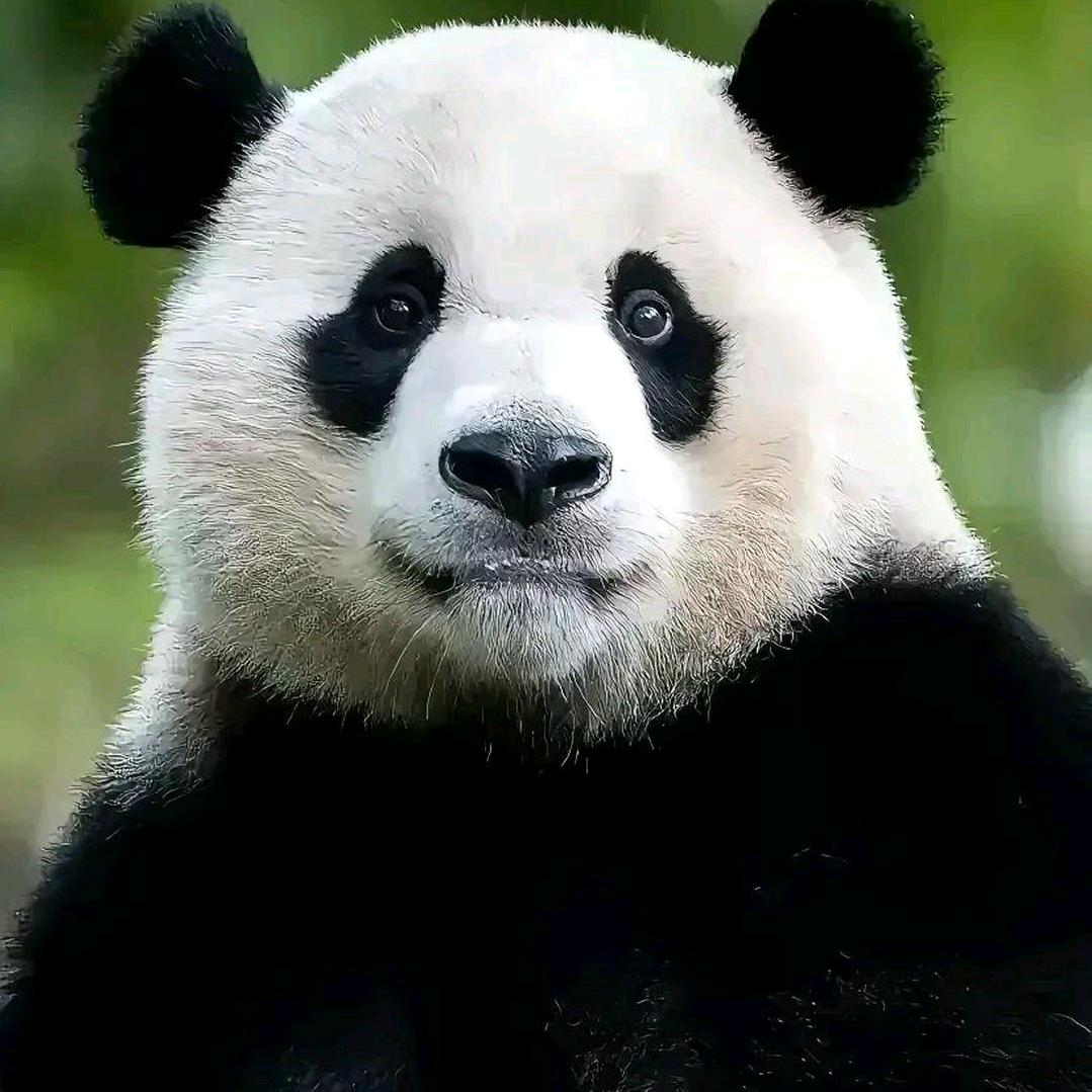 简单的小幸福