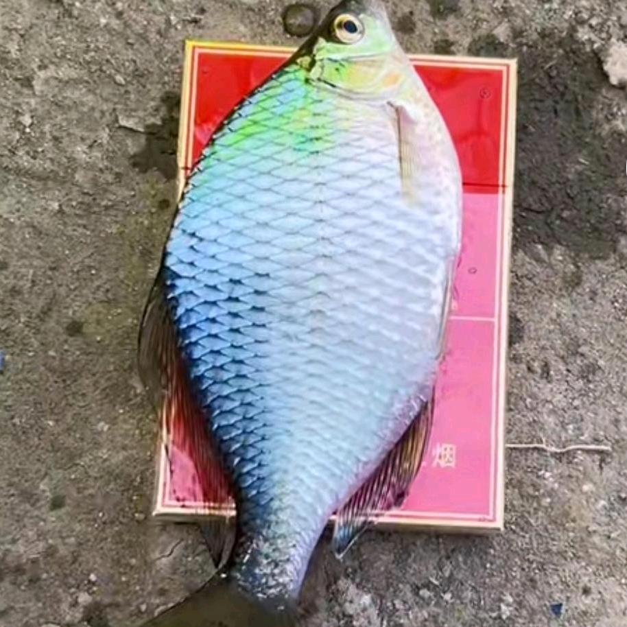 🌈🌈渔乐🌈🌈