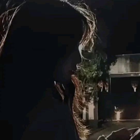渝欢