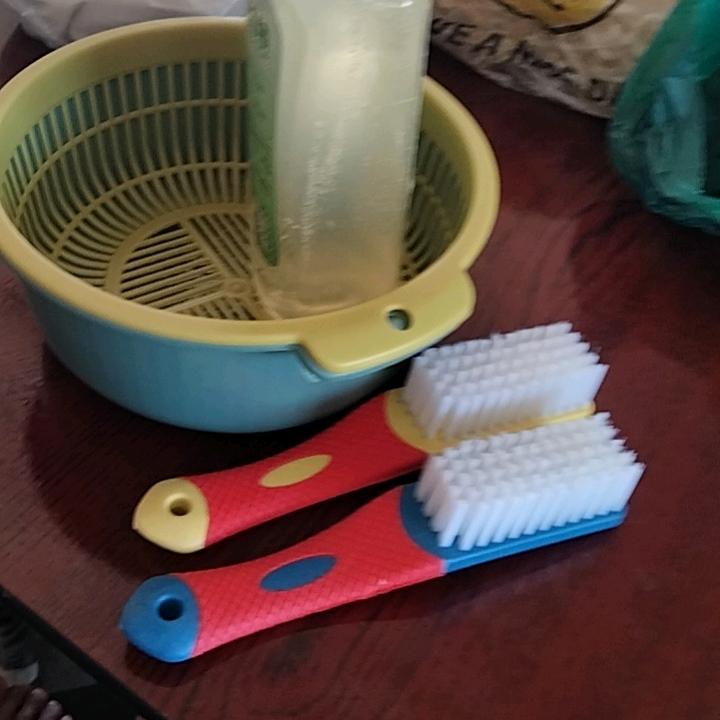 梦飞的鱼