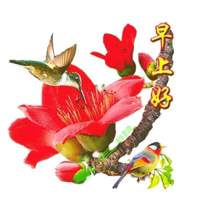 庄做不知道