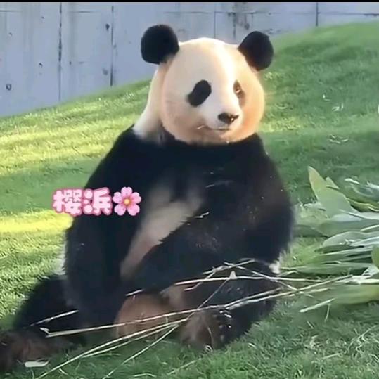 幸福一家人，