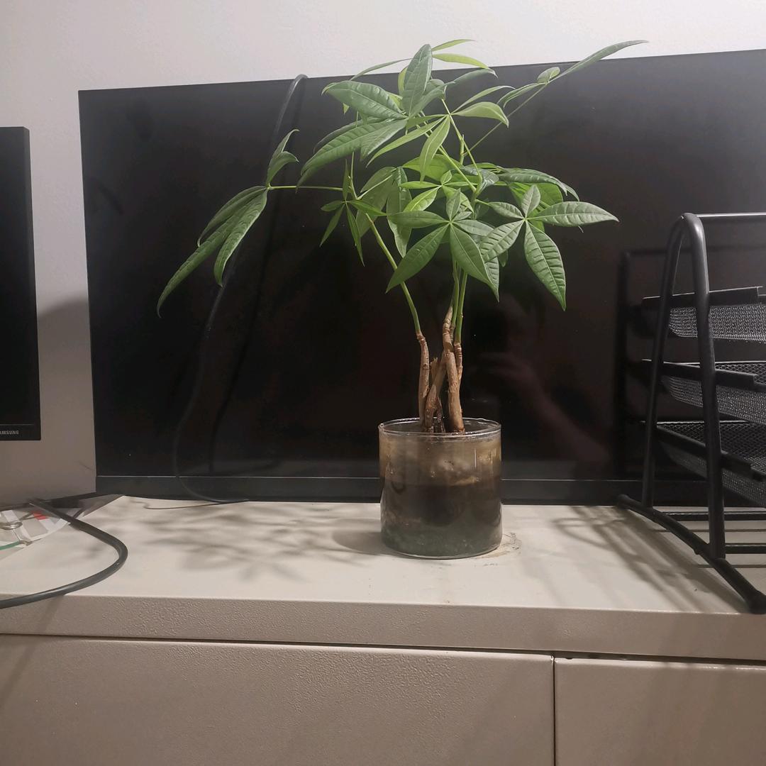 一笑而过🎉🎉🎉