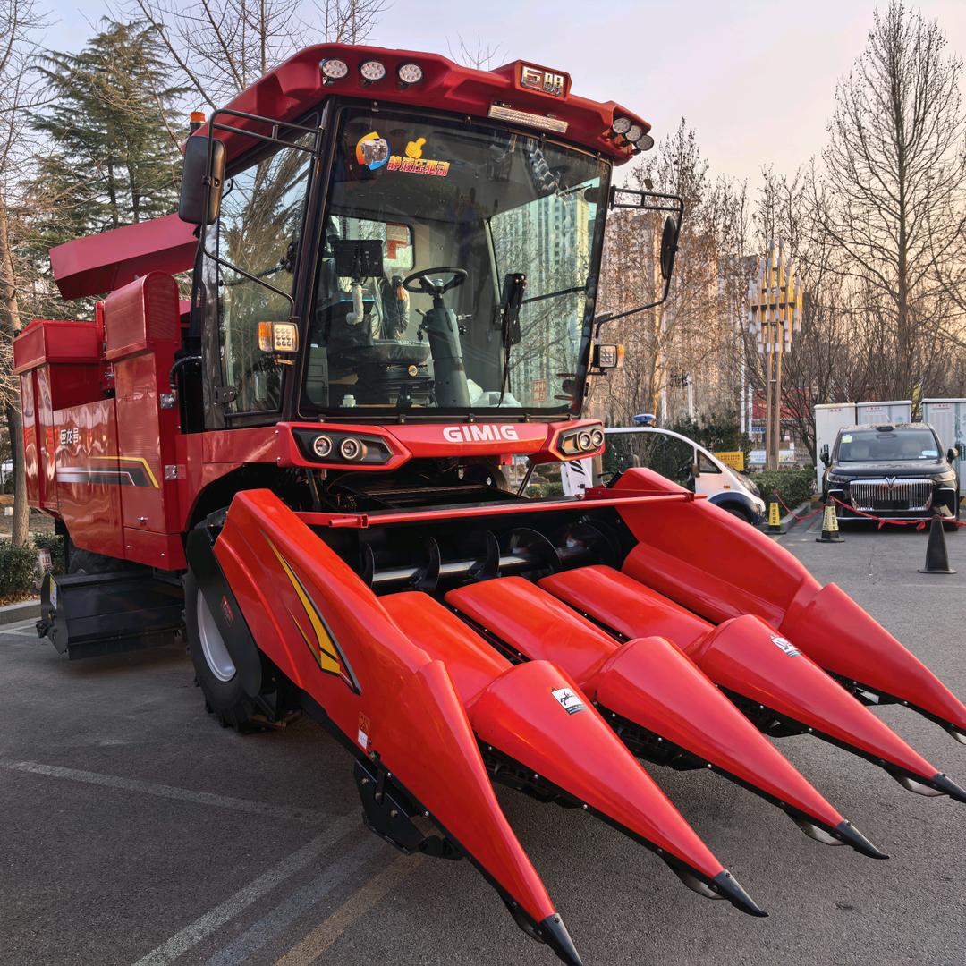 巨明—内蒙古徐波