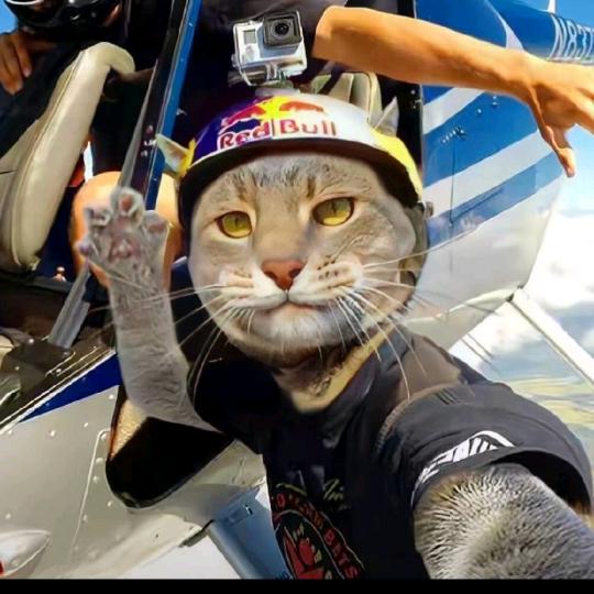 对方正在输入中……